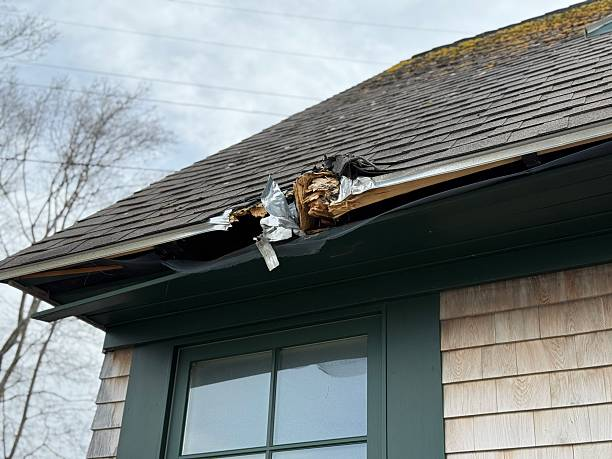 image 2026 10 09t232953.802